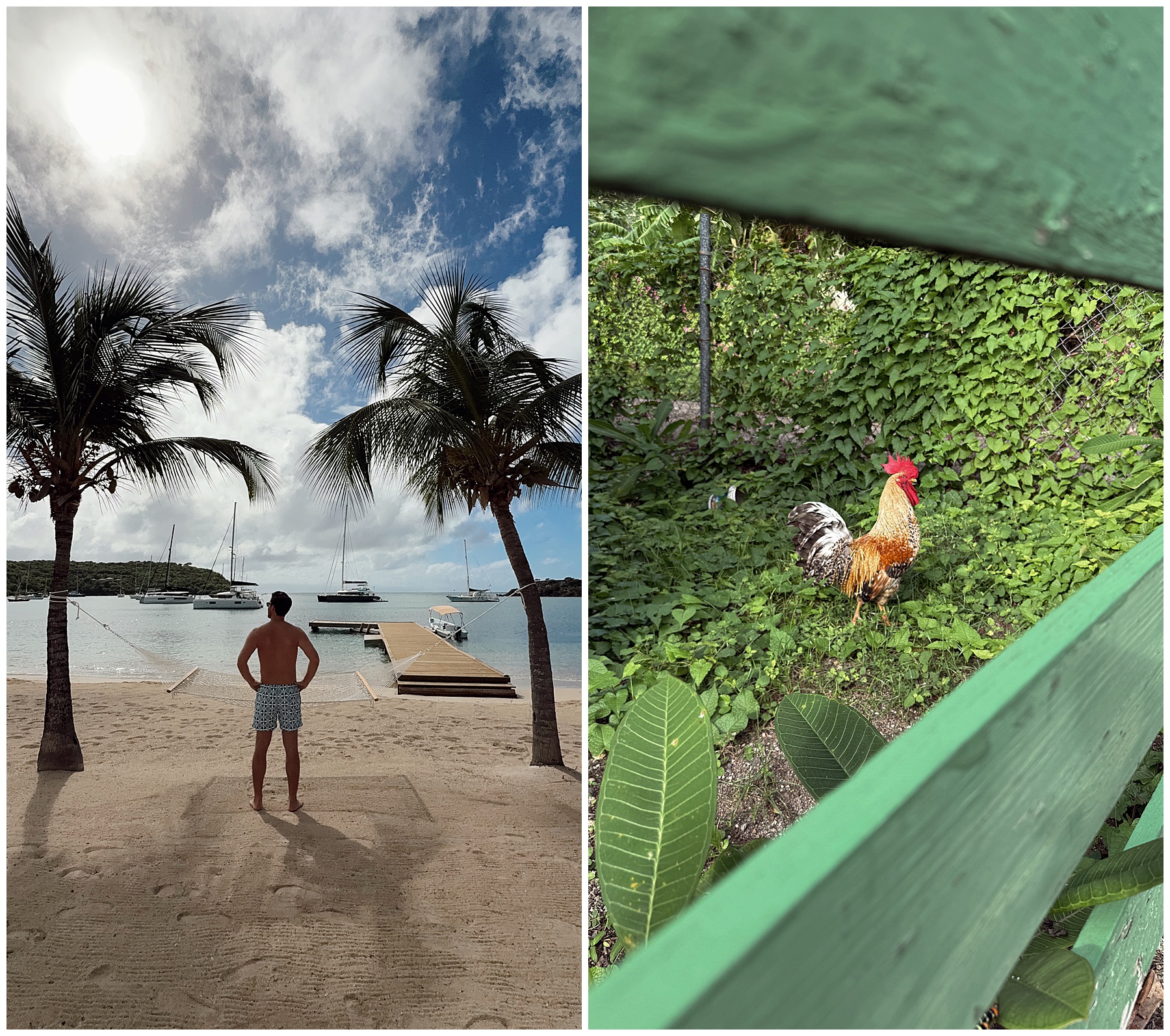 John Philp Thompson Antigua Caribbean Travel Blogger 